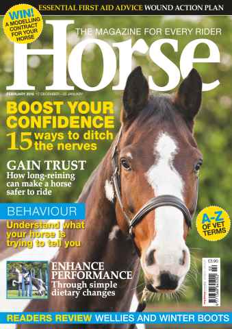 Horse issue February 2016