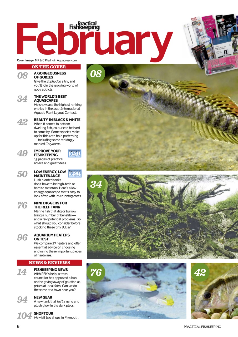 Practical Fishkeeping Preview Pages