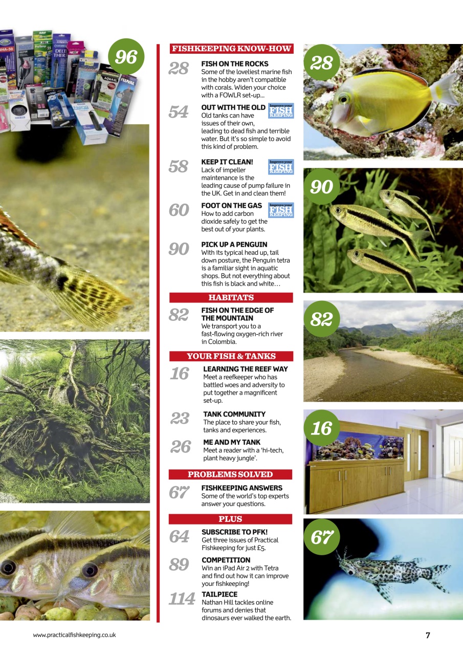 Practical Fishkeeping Preview Pages