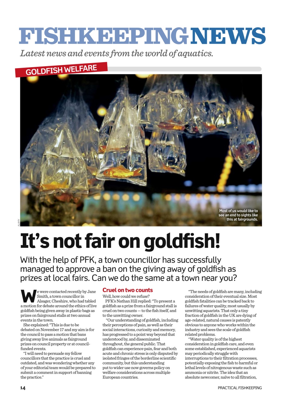 Practical Fishkeeping Preview Pages