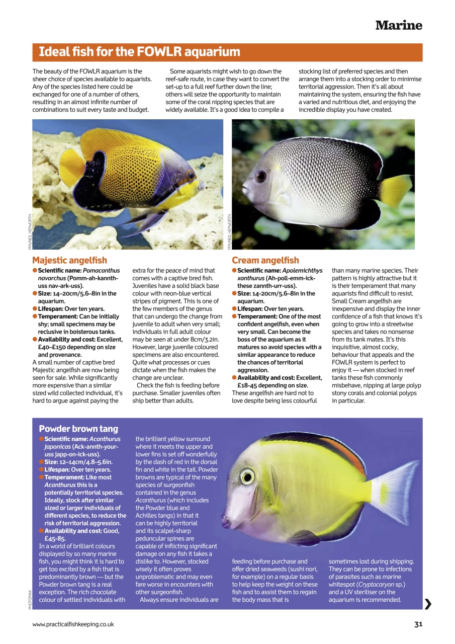 Practical Fishkeeping Preview Pages