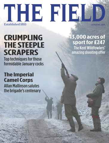 The Field issue January 2016