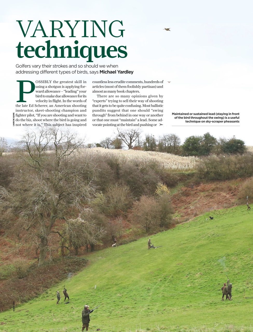 The Field Preview Pages