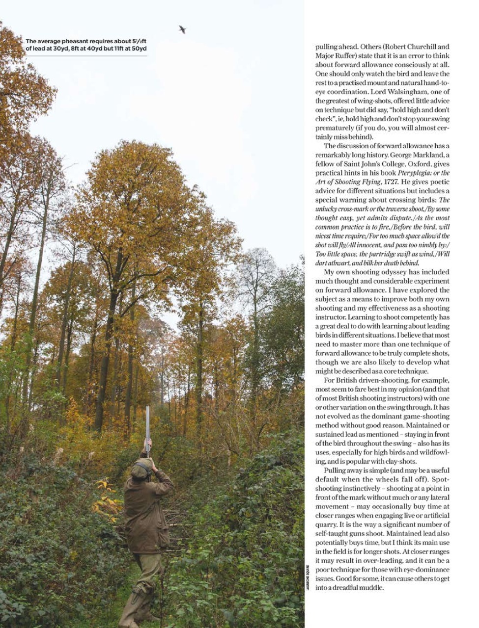 The Field Preview Pages