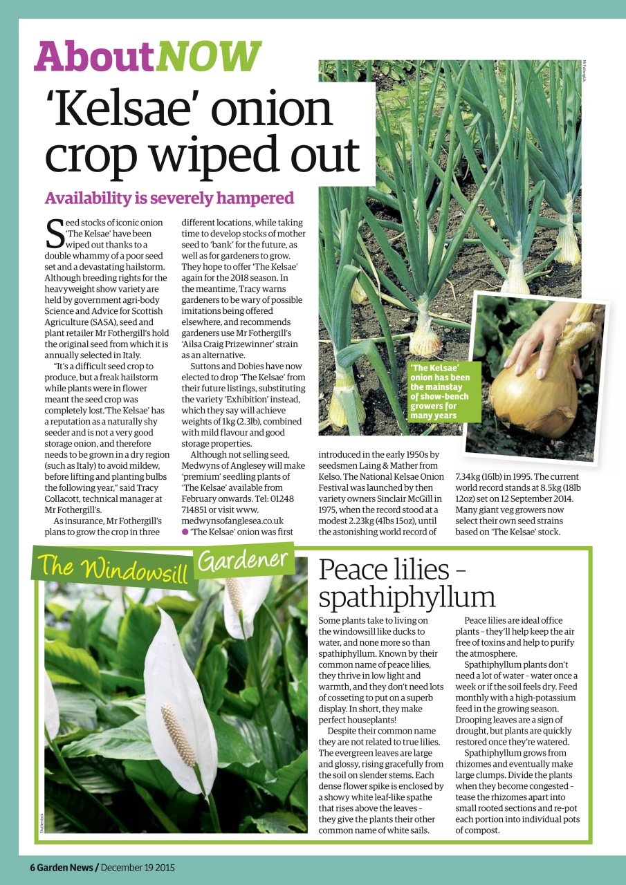 Garden News Preview Pages