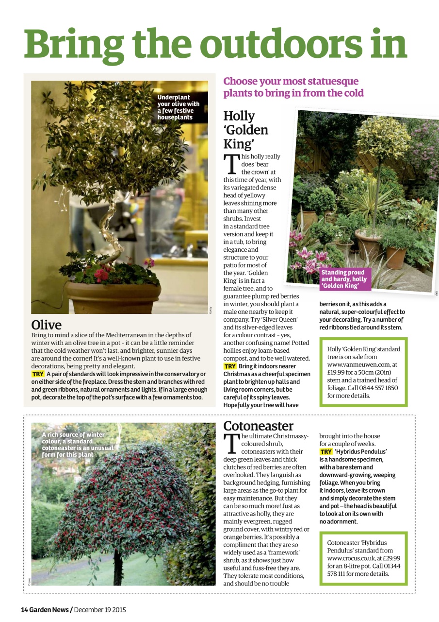 Garden News Preview Pages
