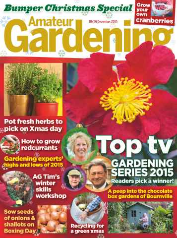 Amateur Gardening issue 19 / 26th December 2015