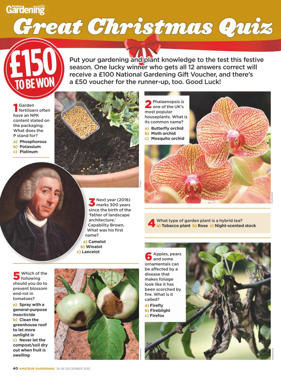 Amateur Gardening Preview Pages