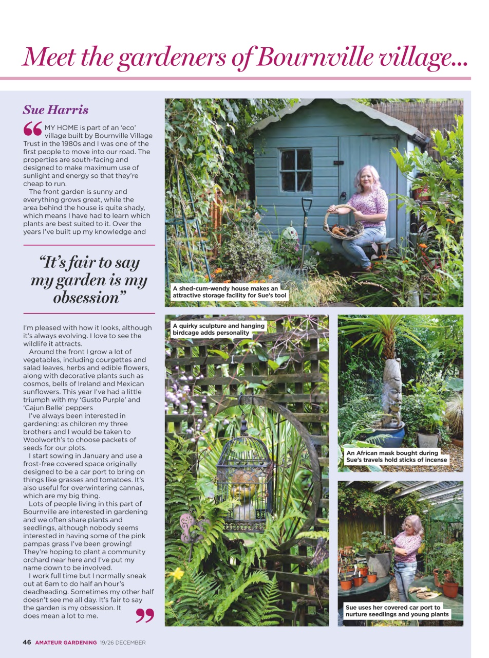 Amateur Gardening Preview Pages