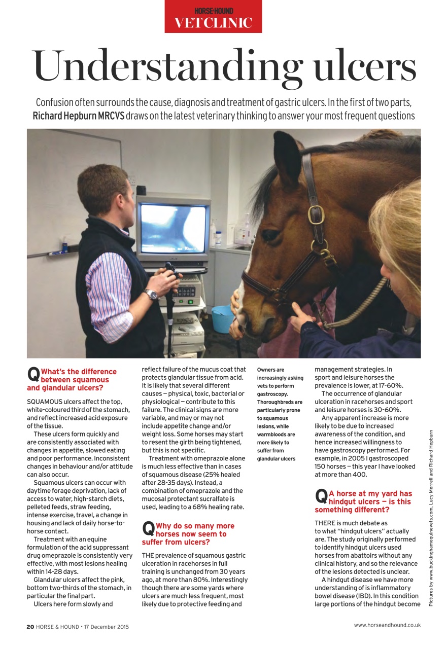 Horse & Hound Preview Pages