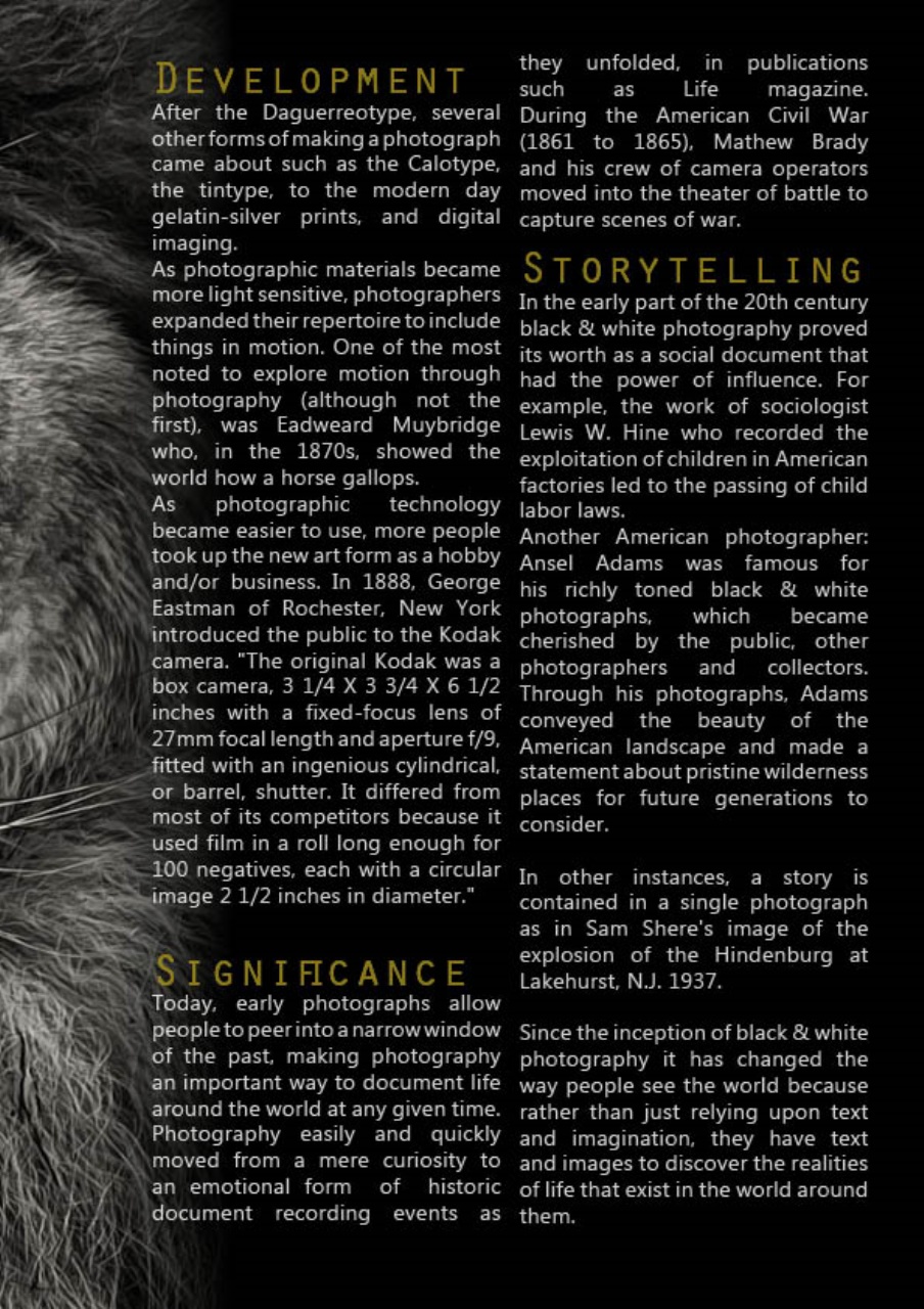 Lens Magazine Preview Pages