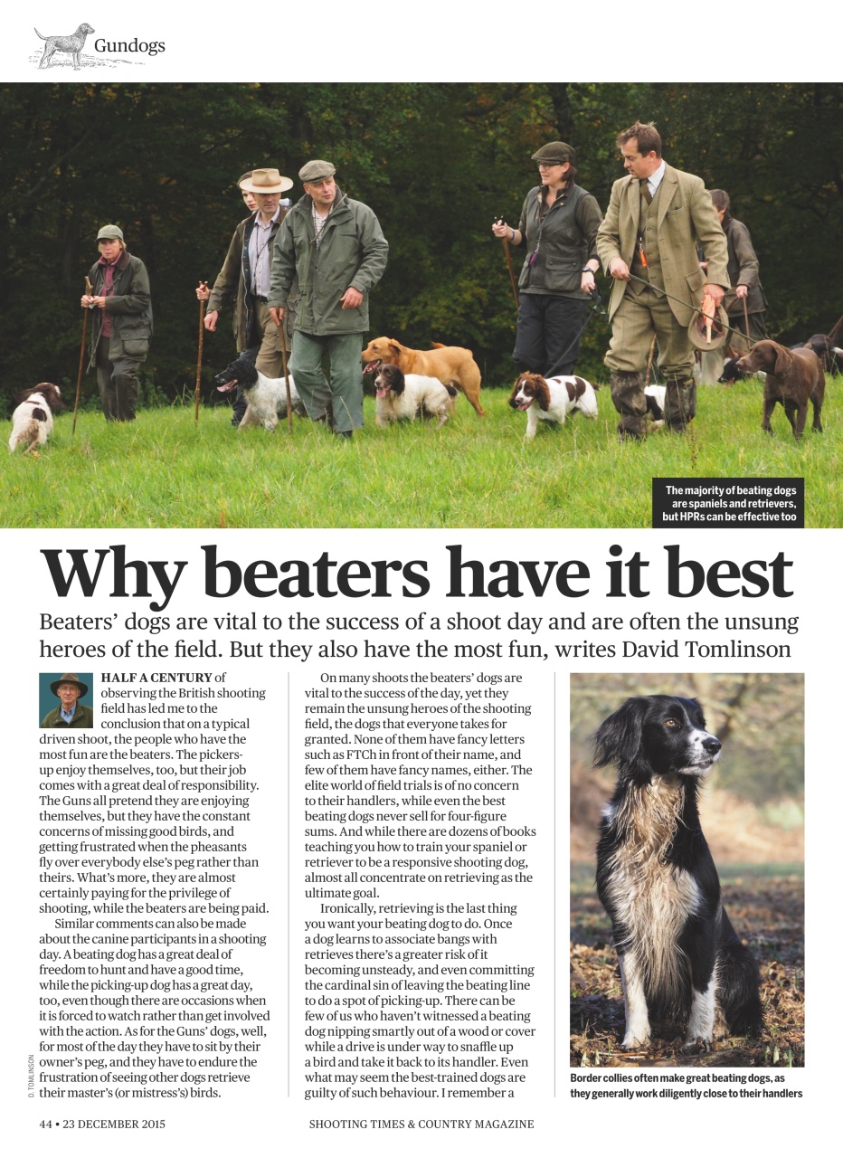 Shooting Times & Country Preview Pages