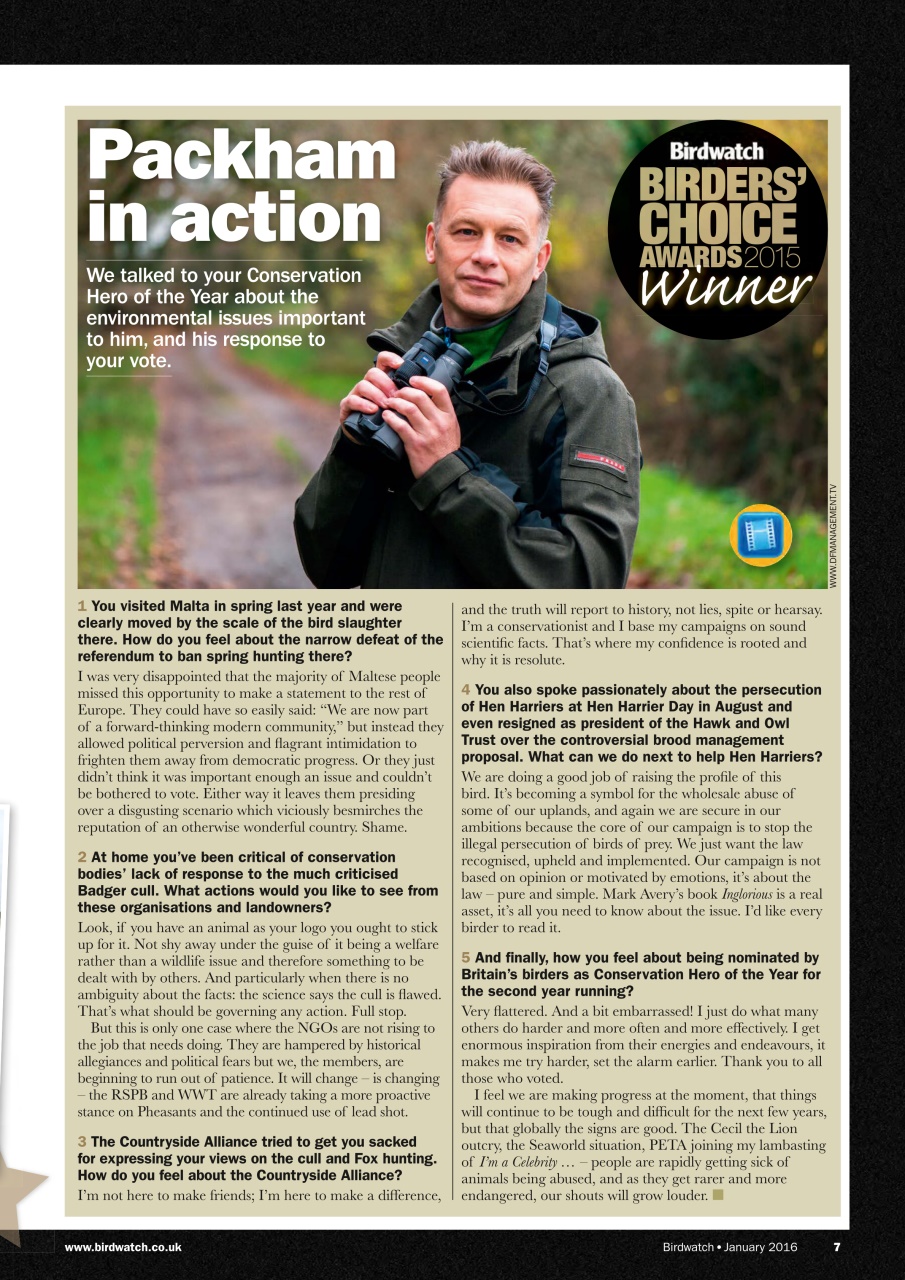 Birdwatch Magazine Preview Pages