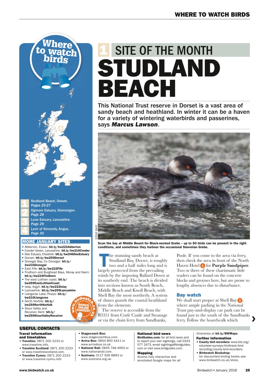 Birdwatch Magazine Preview Pages
