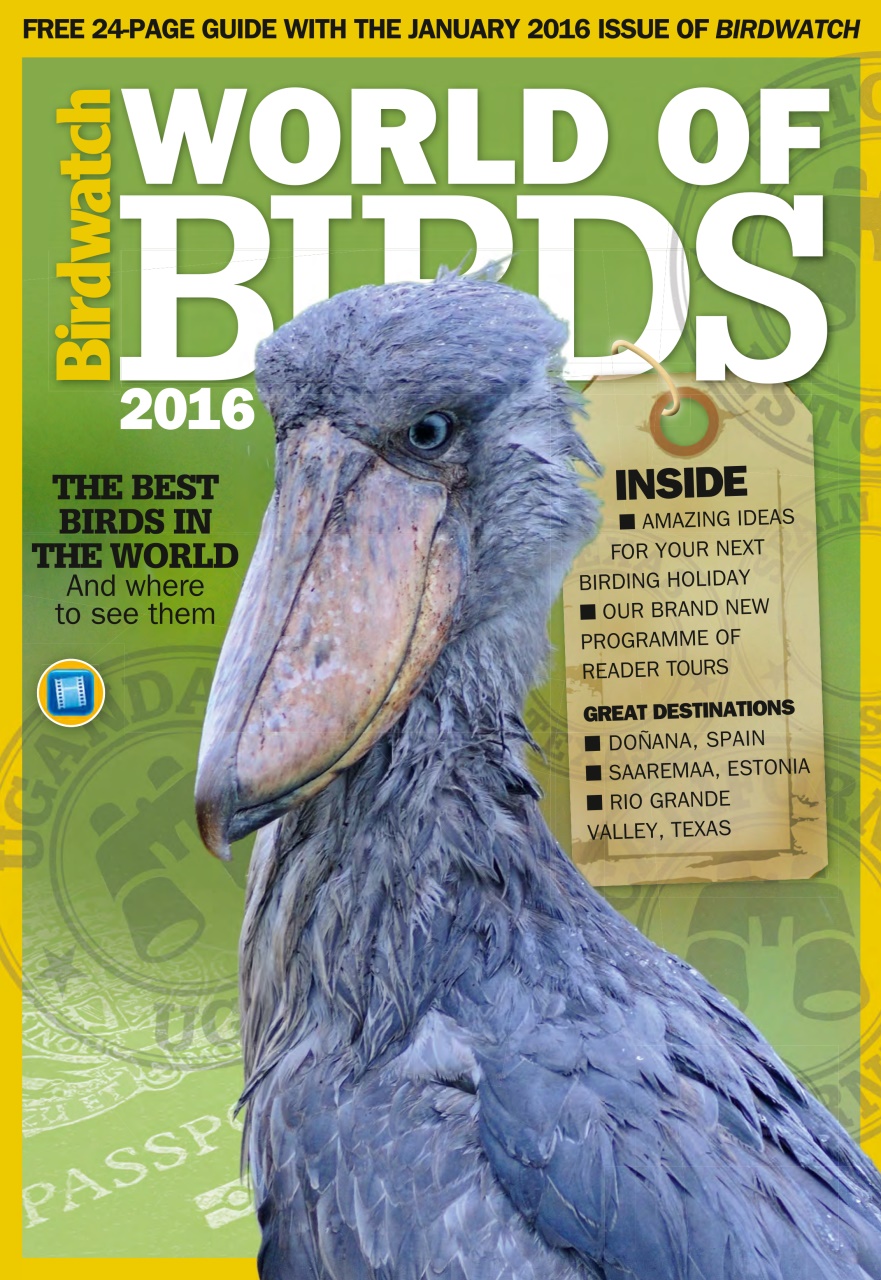 Birdwatch Magazine Preview Pages