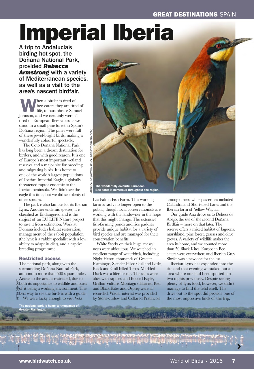 Birdwatch Magazine Preview Pages