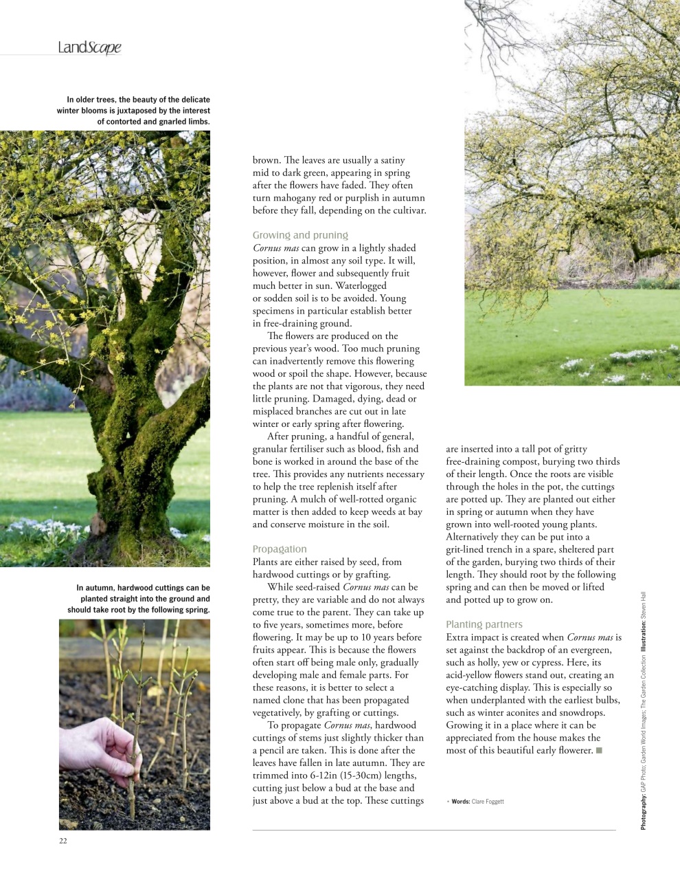 LandScape Preview Pages