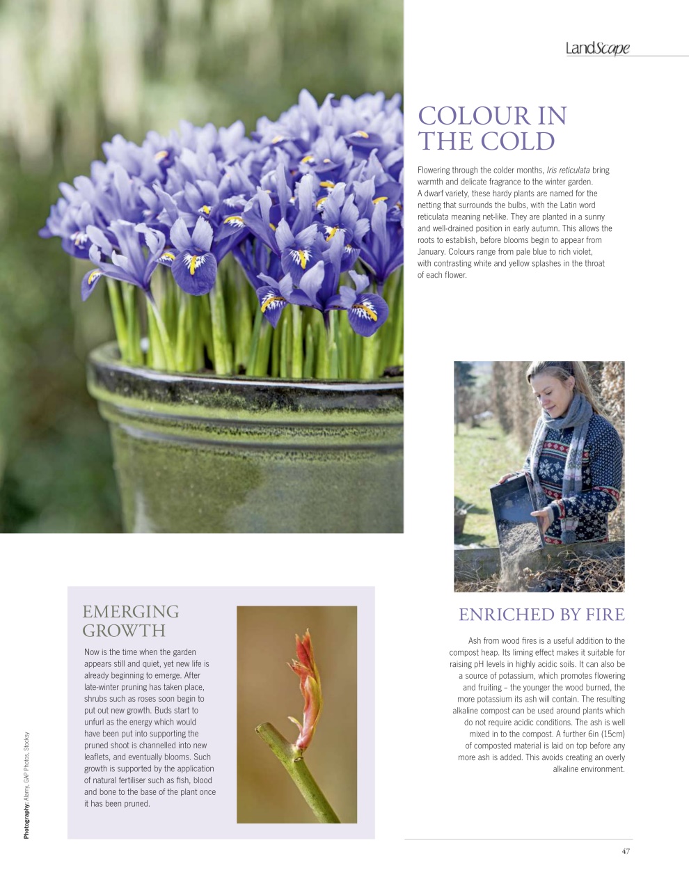 LandScape Preview Pages