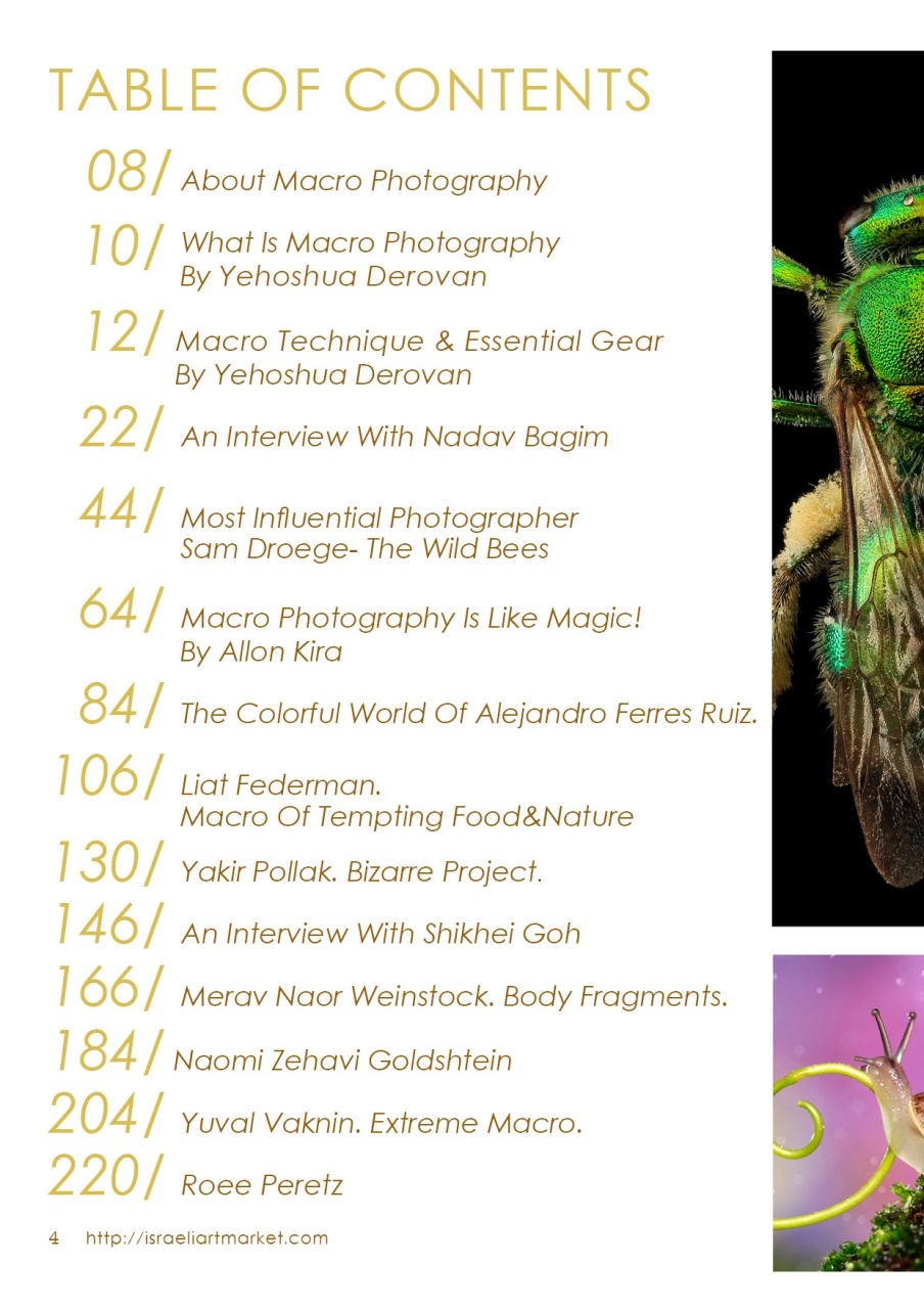 Lens Magazine Preview Pages