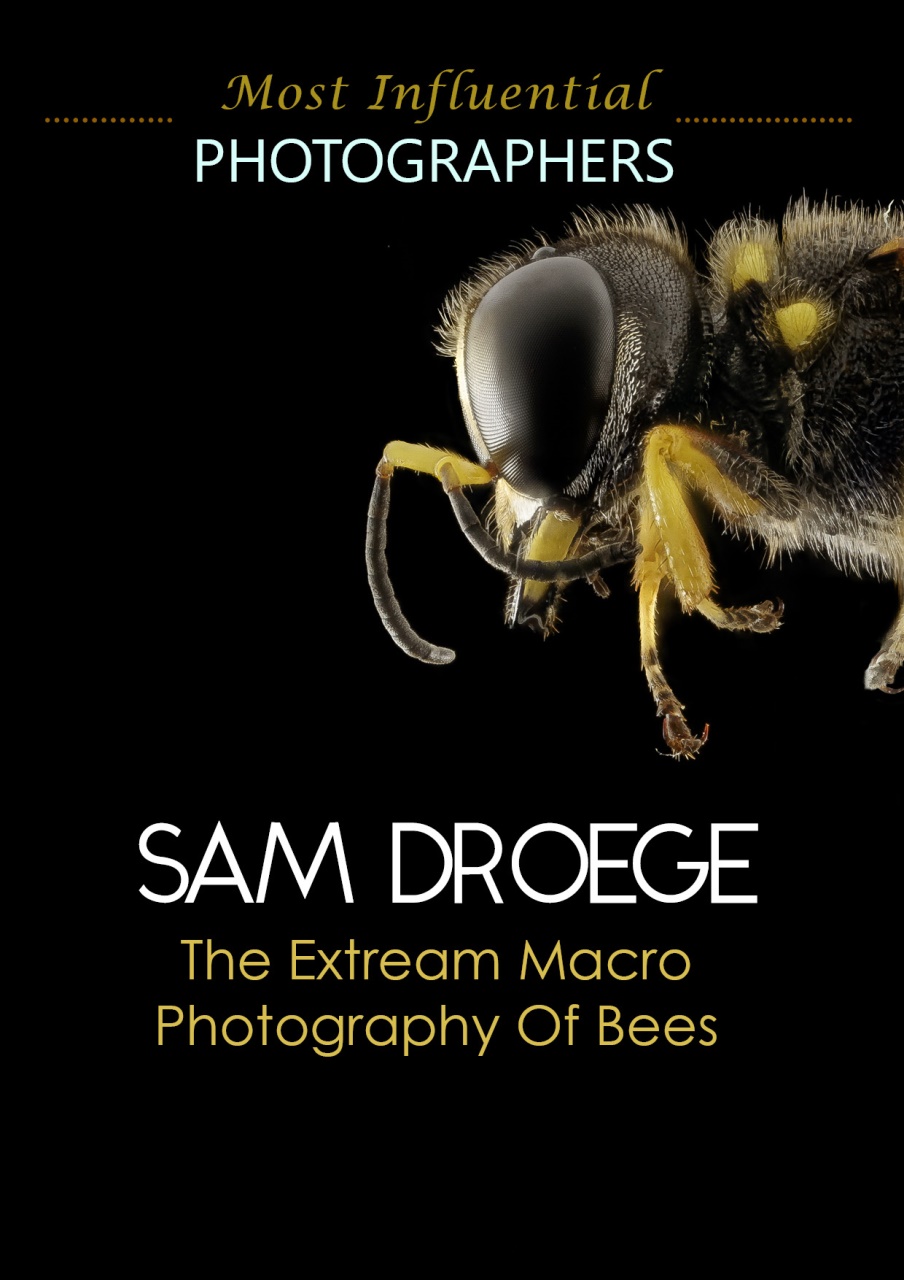 Lens Magazine Preview Pages