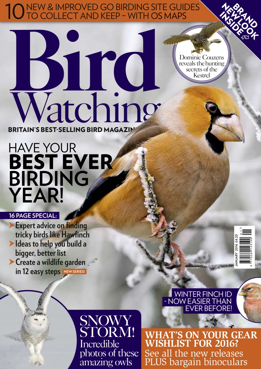Bird Watching Preview Pages