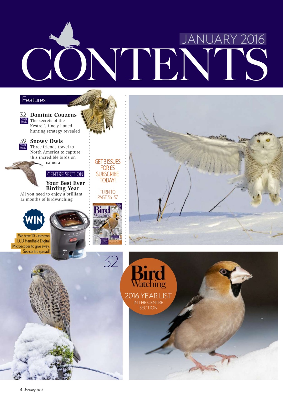 Bird Watching Preview Pages