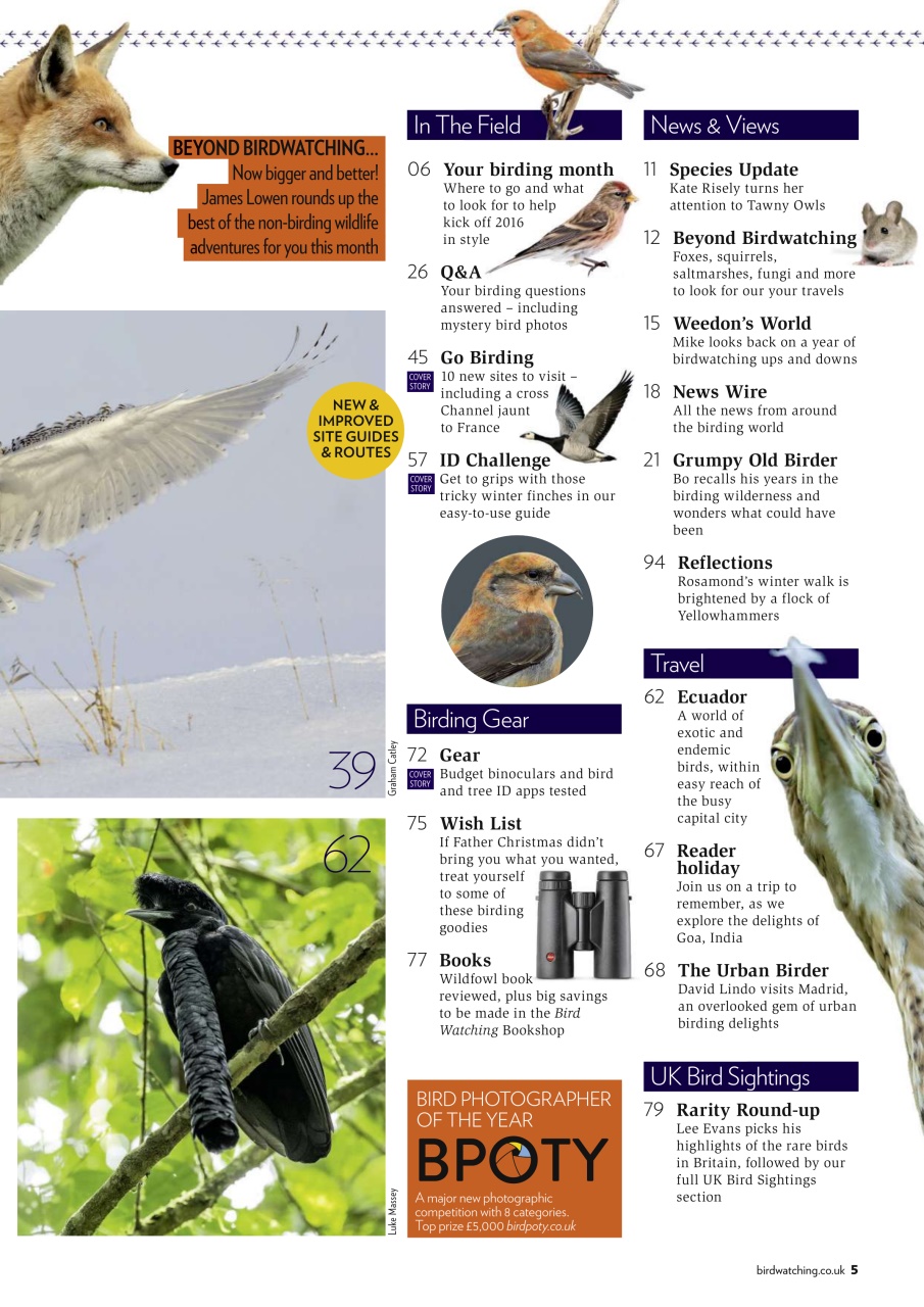 Bird Watching Preview Pages