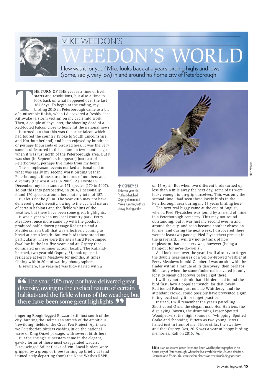 Bird Watching Preview Pages