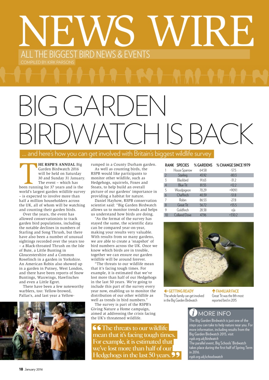 Bird Watching Preview Pages