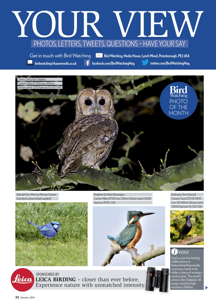 Bird Watching Preview Pages