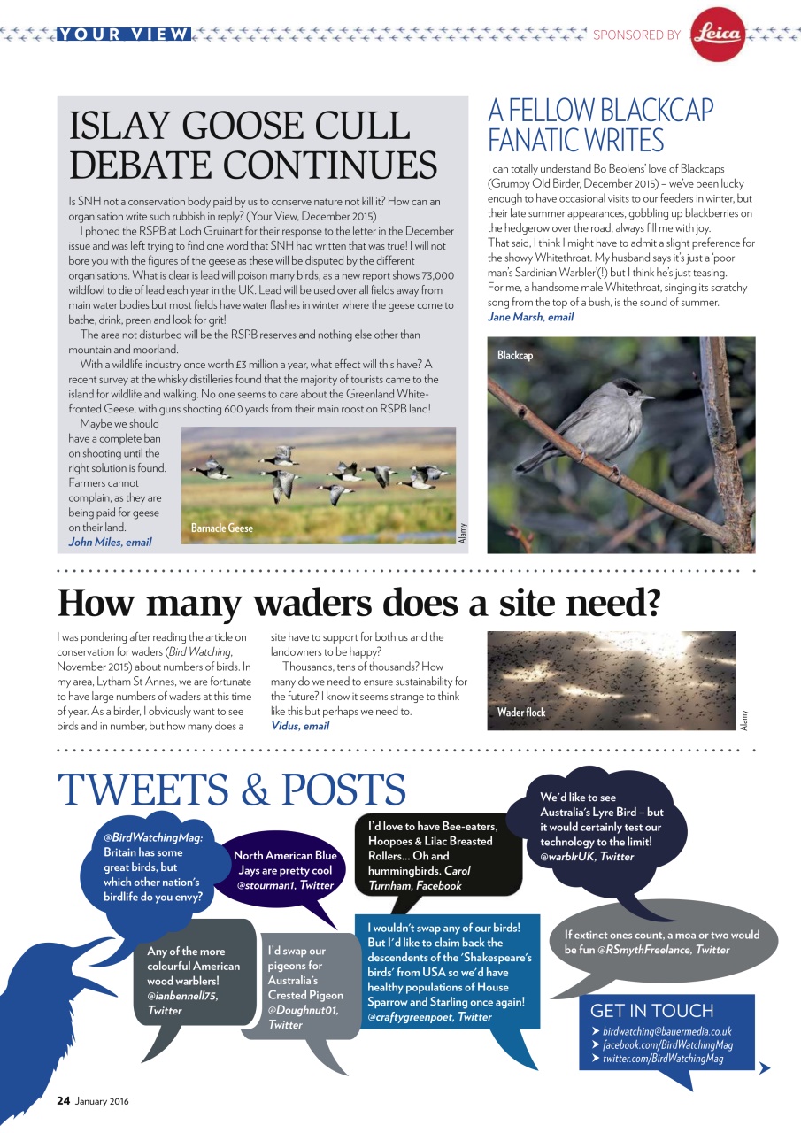 Bird Watching Preview Pages