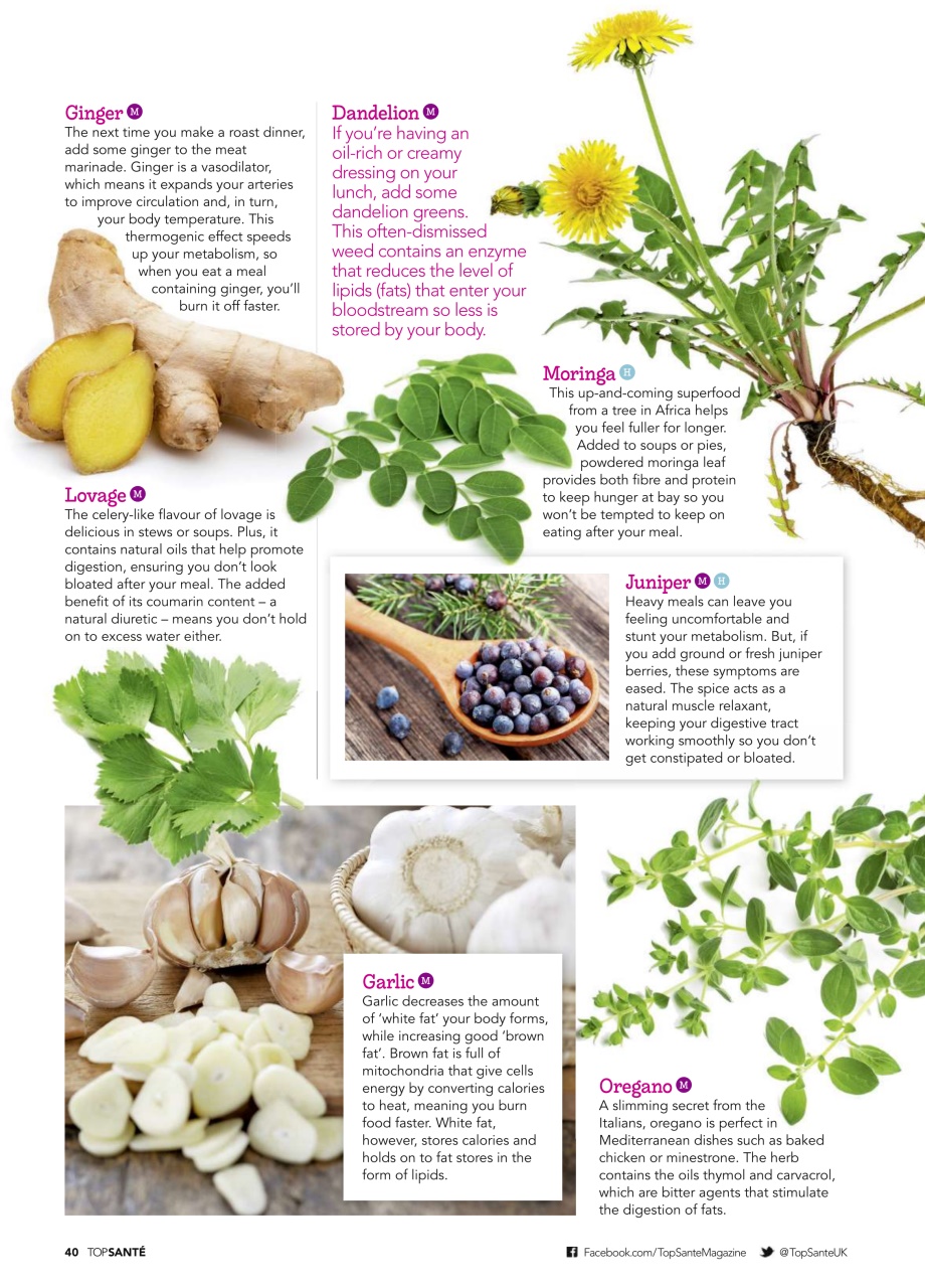 Top Sante Preview Pages