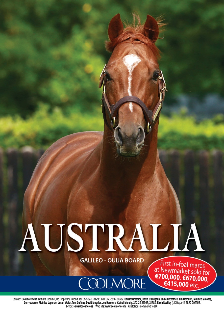 The Owner Breeder Preview Pages