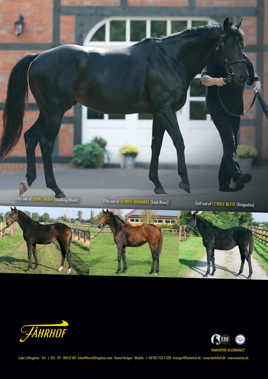 The Owner Breeder Preview Pages