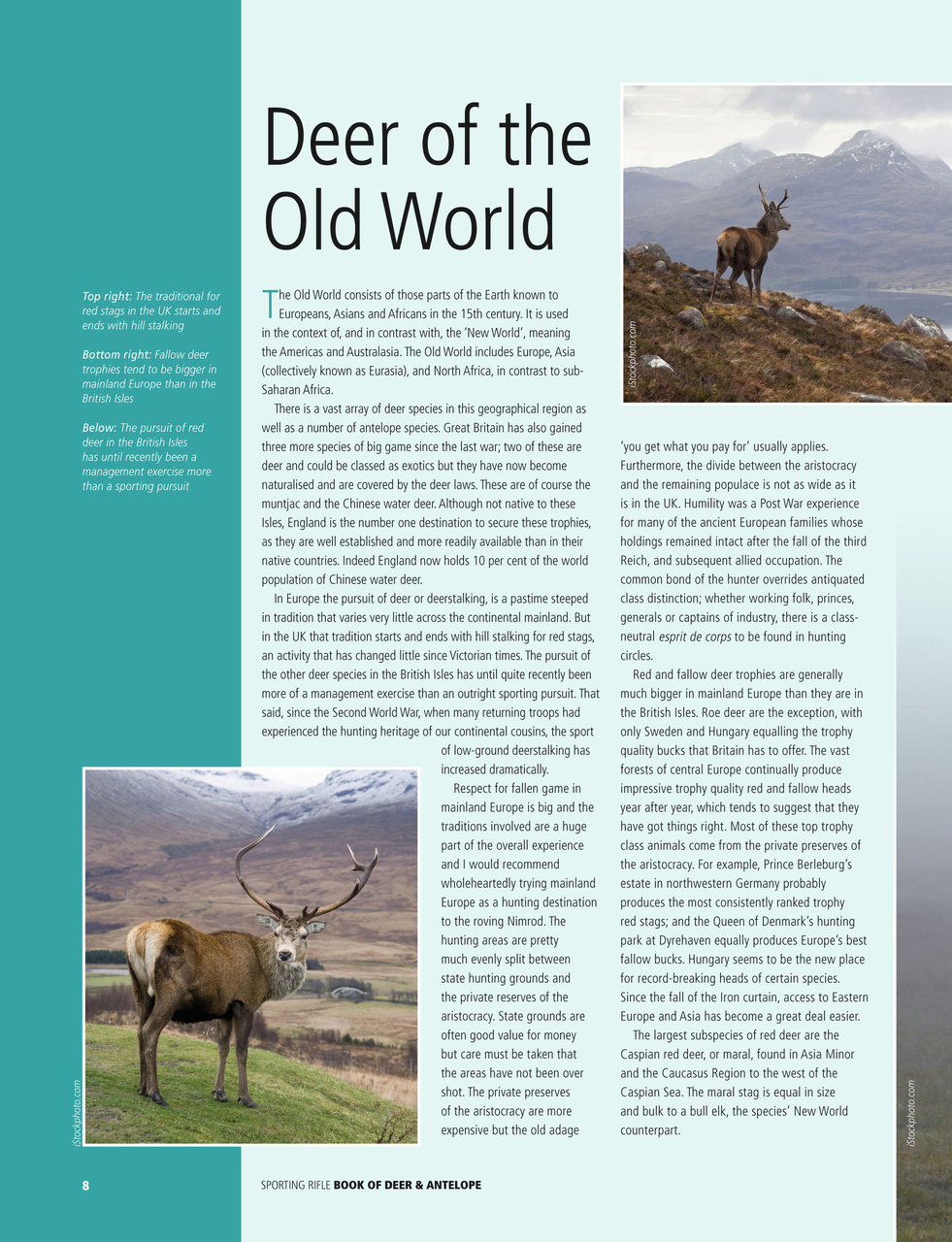 Sporting Rifle Books Preview Pages