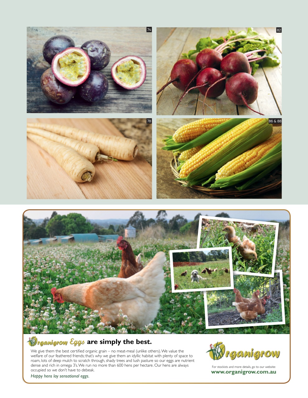 Good Organic Gardening Preview Pages