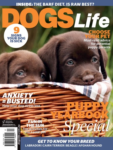 Dogs Life issue 