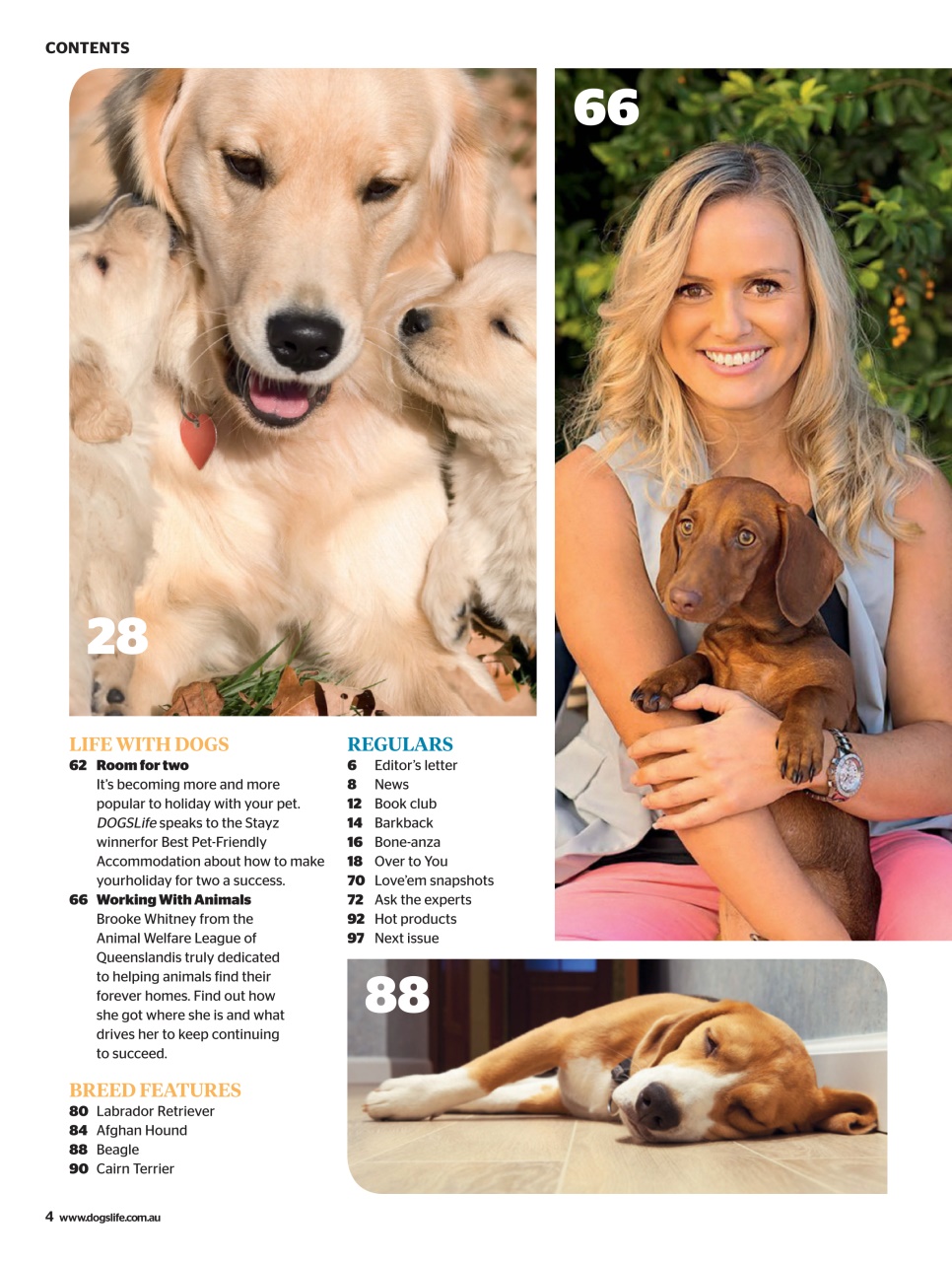 Dogs Life Preview Pages