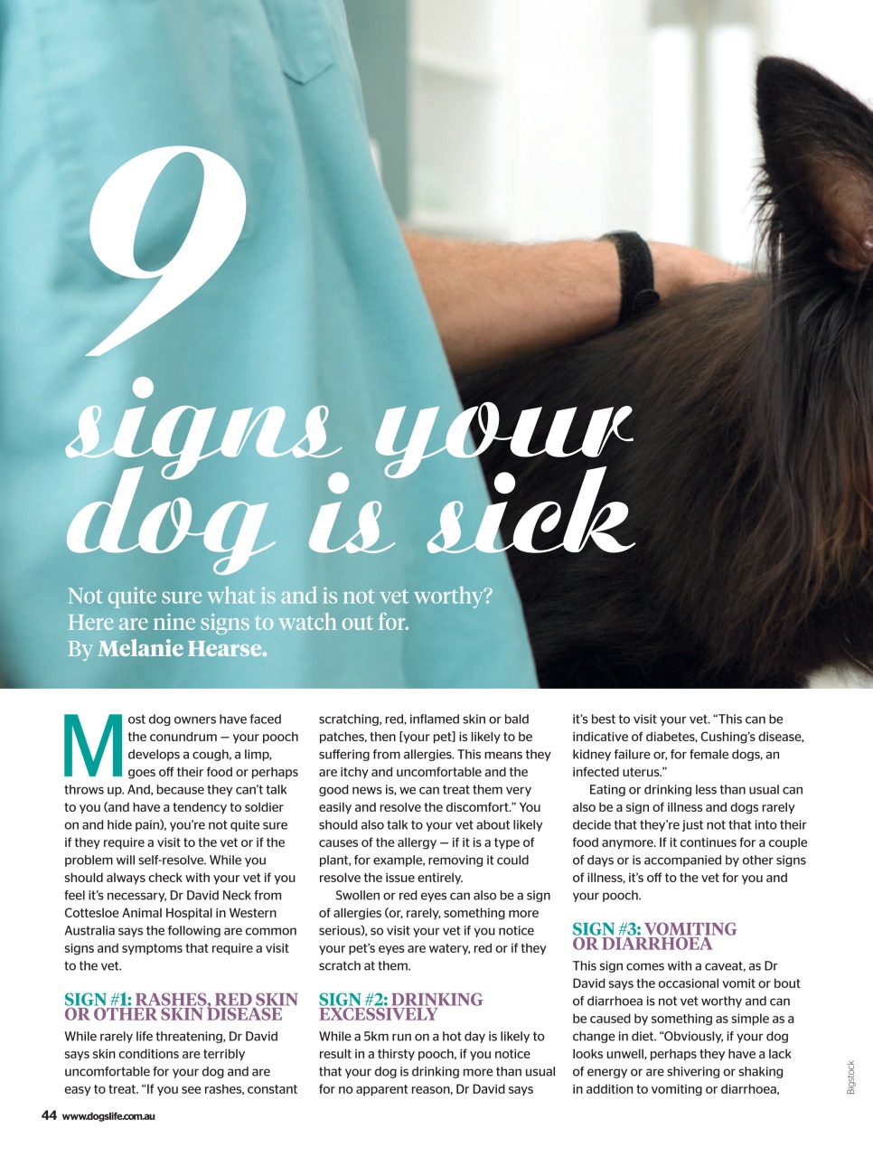 Dogs Life Preview Pages