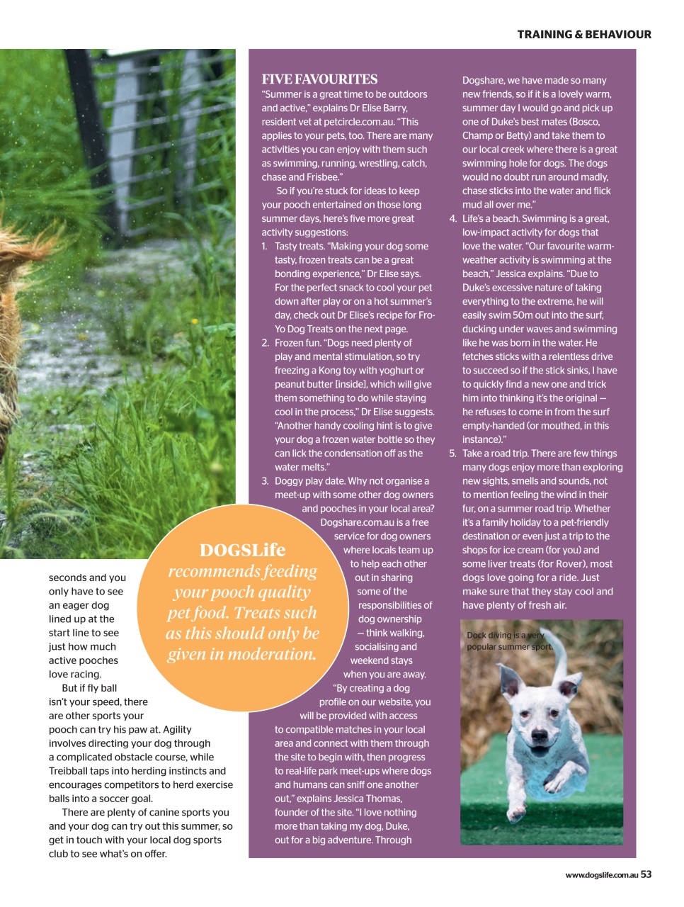 Dogs Life Preview Pages