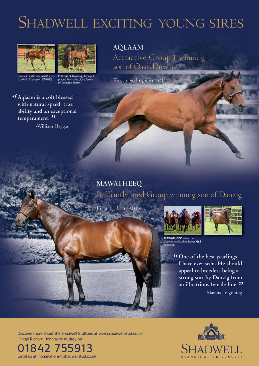 The Owner Breeder Preview Pages