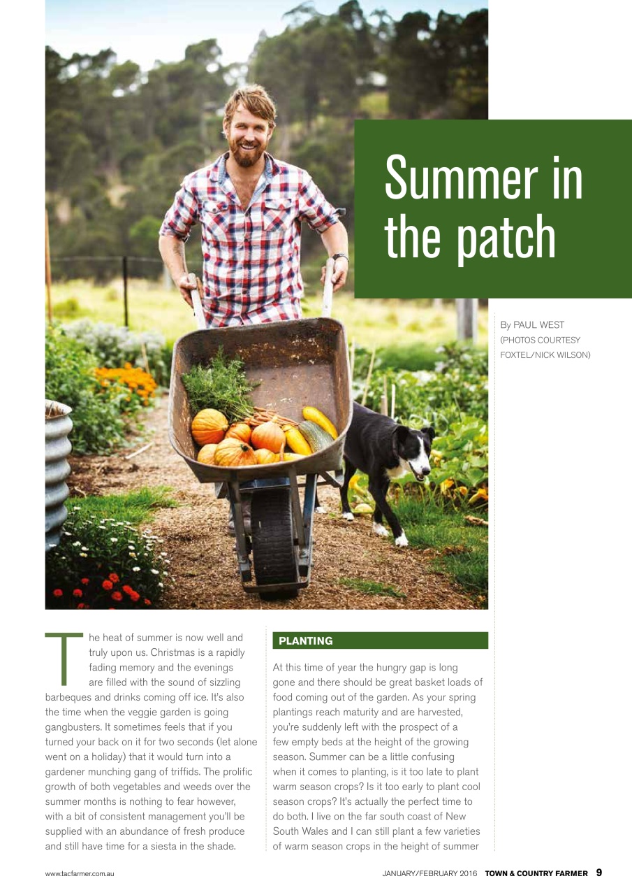 Town And Country Farmer Preview Pages