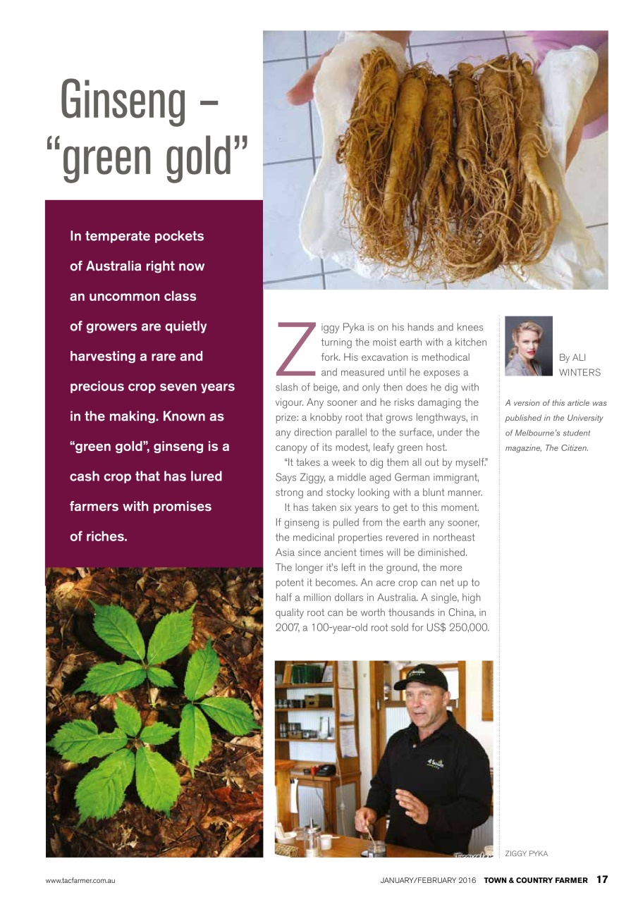 Town And Country Farmer Preview Pages