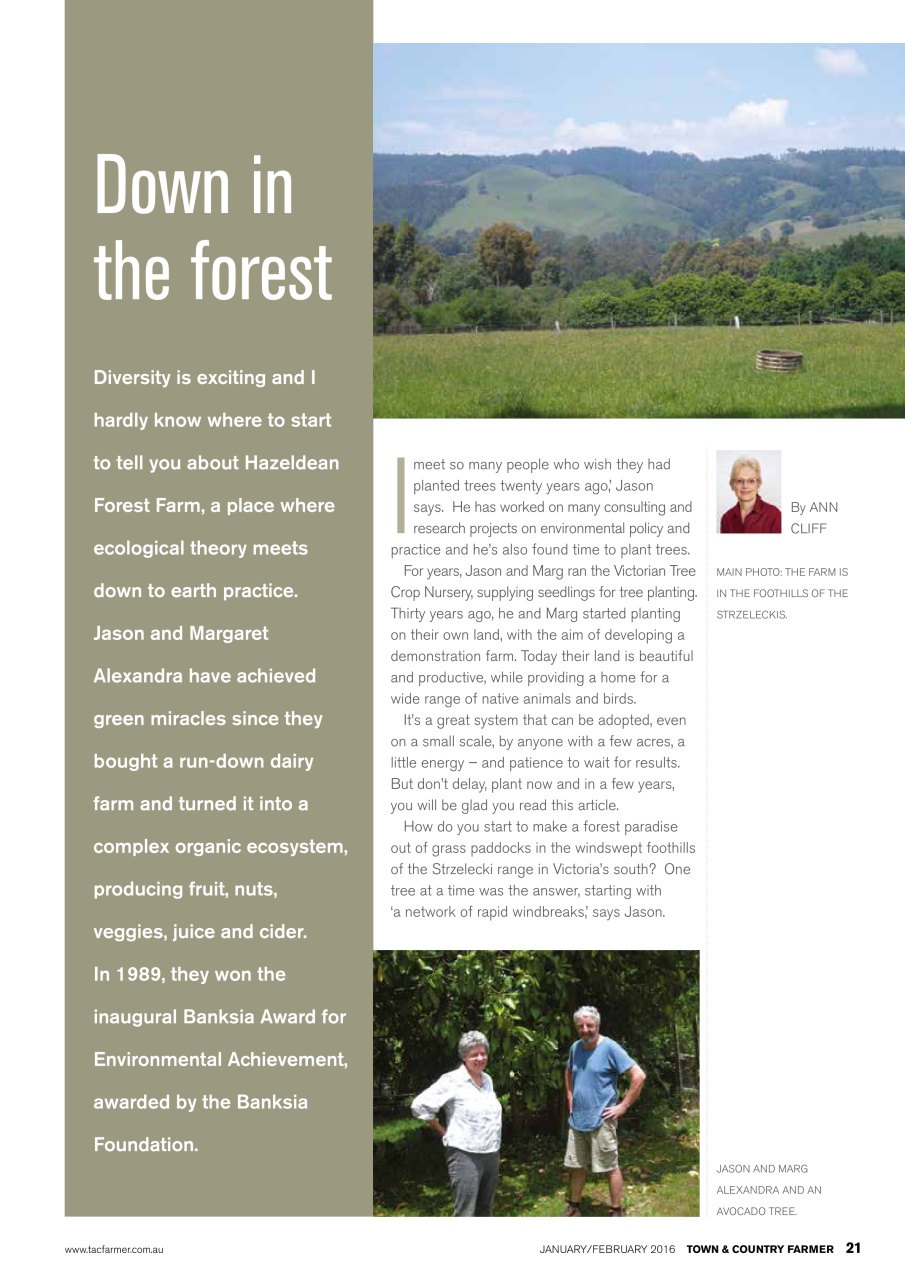 Town And Country Farmer Preview Pages