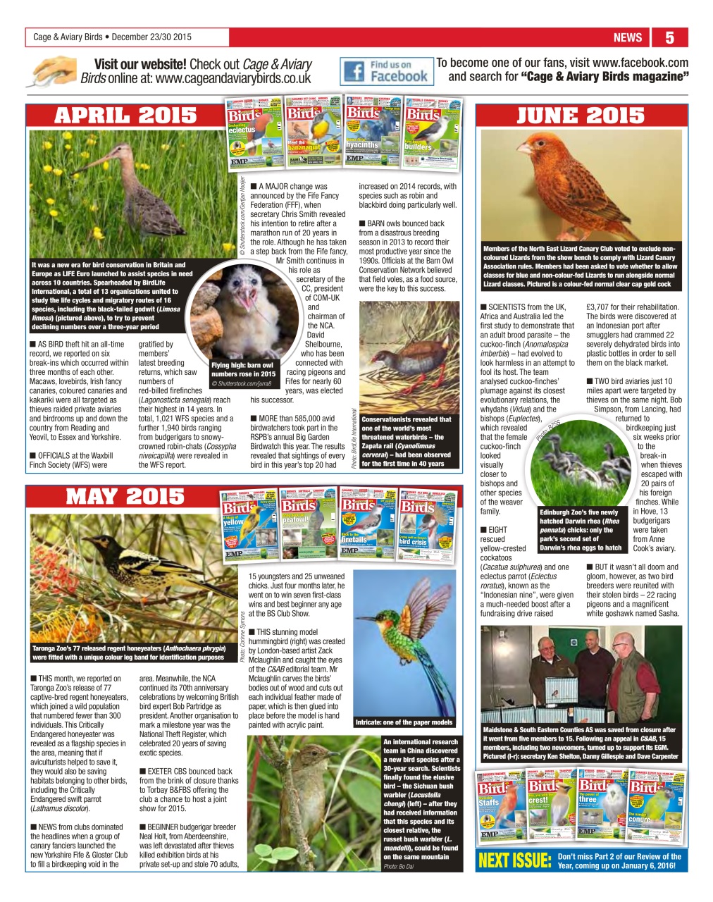 Cage & Aviary Birds Preview Pages