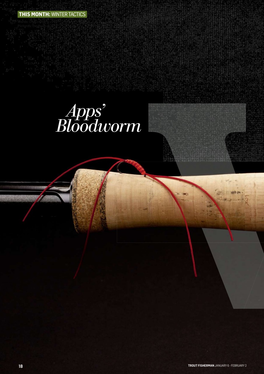 Trout Fisherman Preview Pages