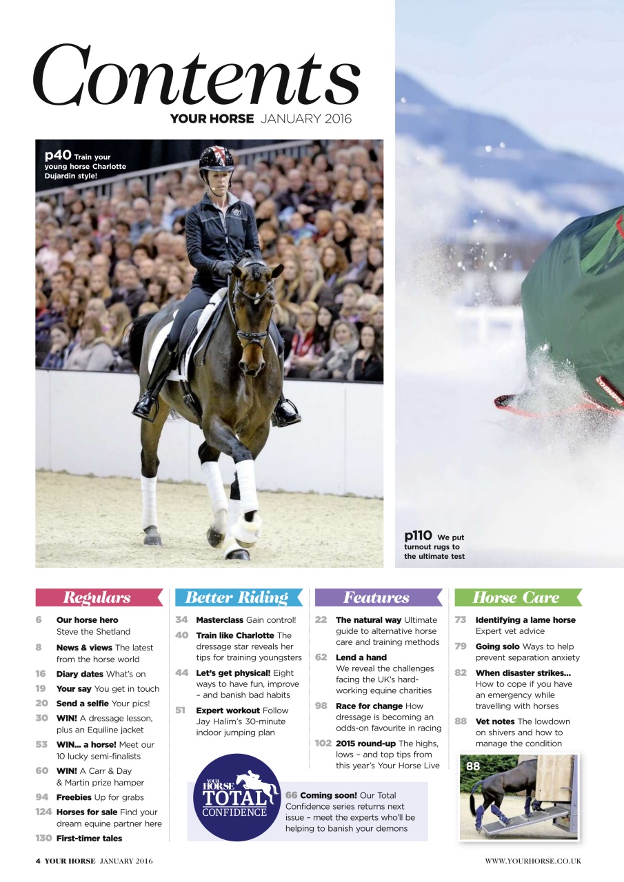 Your Horse Preview Pages