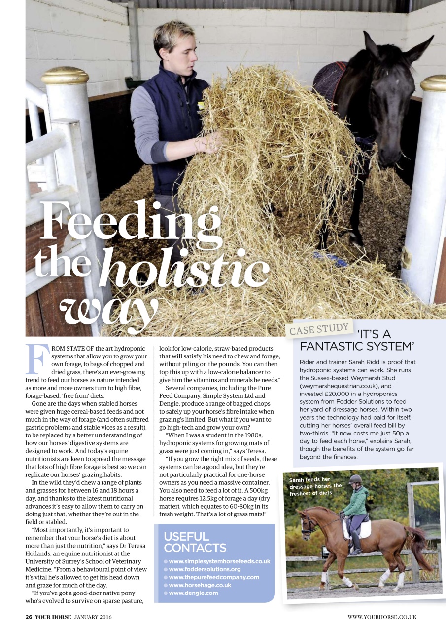 Your Horse Preview Pages