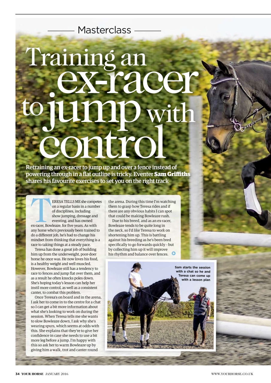 Your Horse Preview Pages