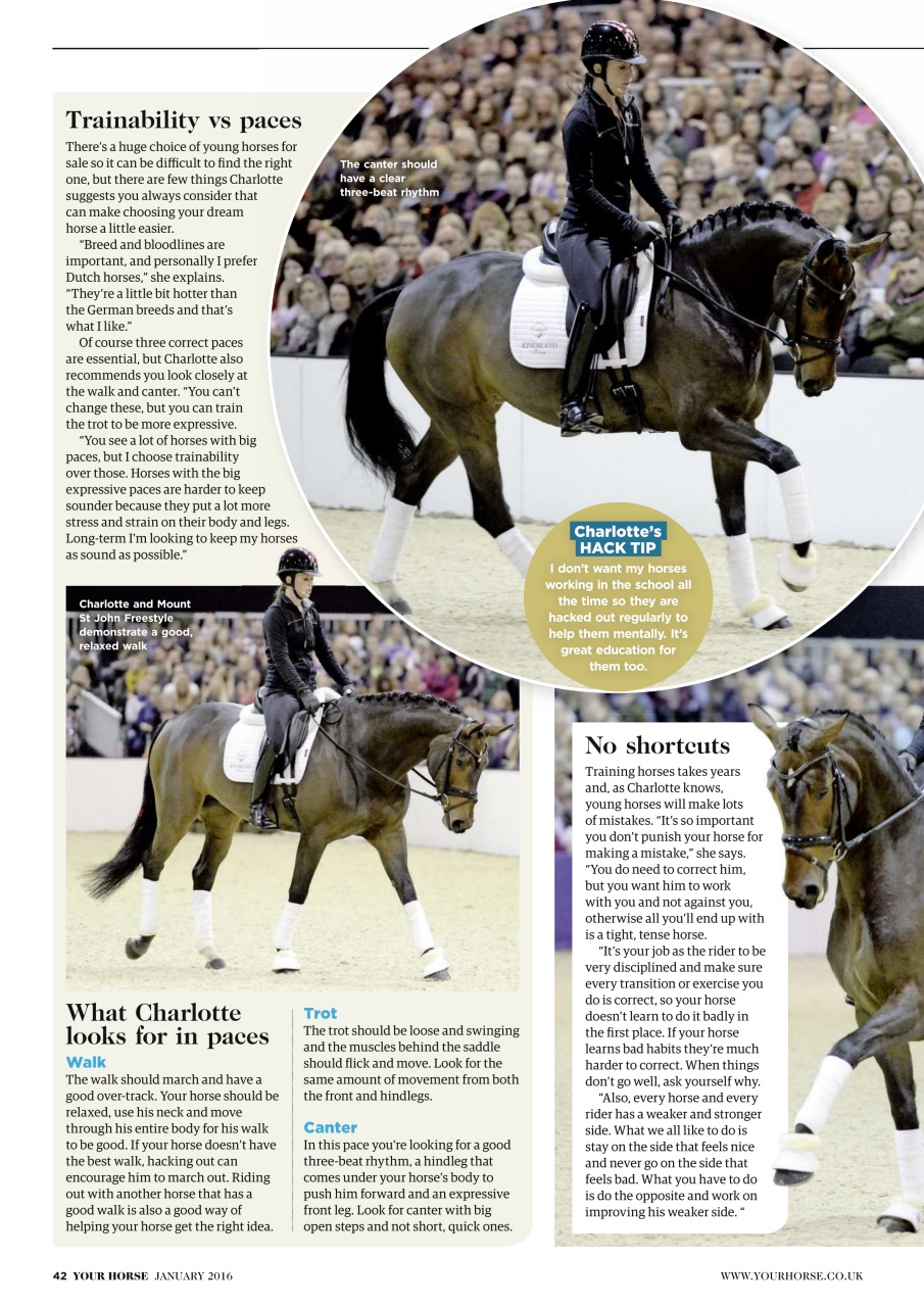 Your Horse Preview Pages